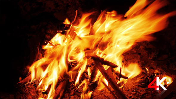 Campfire Burning In The Dark