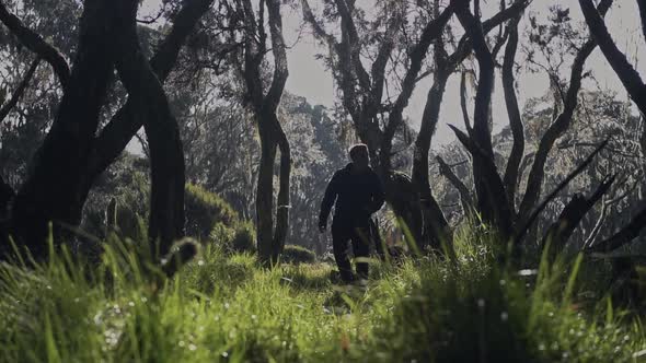 Walking through the tall, green trees of Aberdares, Kenya - wide shot