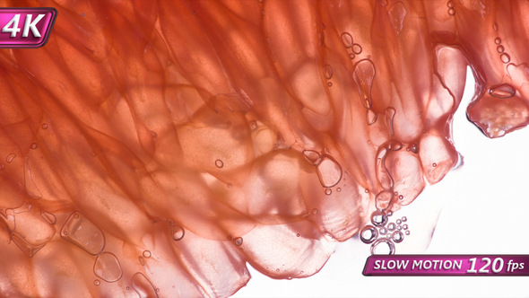 Squeeze Juice From Grapefruit alt