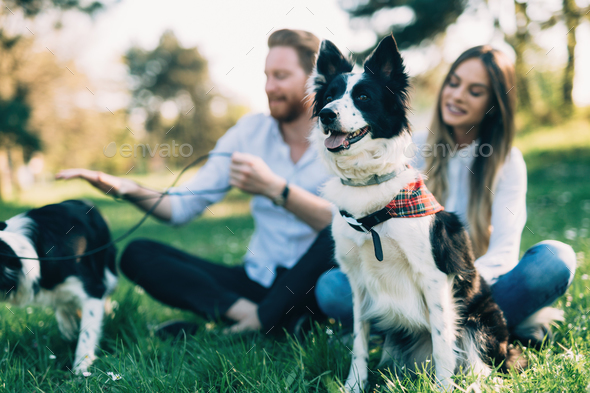 Beautiful couple walking dogs and bonding in nature - Stock Photo - Images