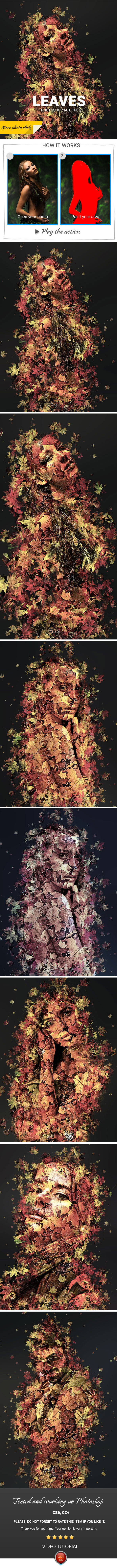 Leaves Photoshop Action