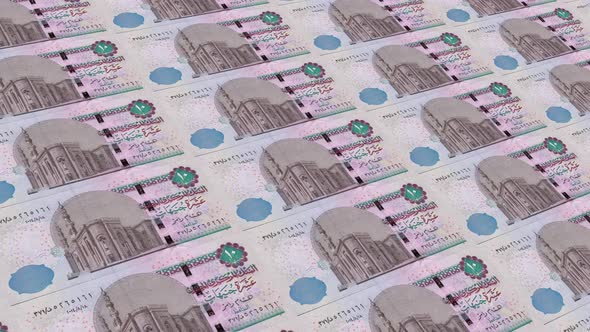 Egypt Money / 10 Egyptian Pound  5K alt