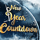 New Year Countdown - VideoHive Item for Sale