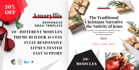Amaryllis- Responsive HTML - ThemeForest 22986704