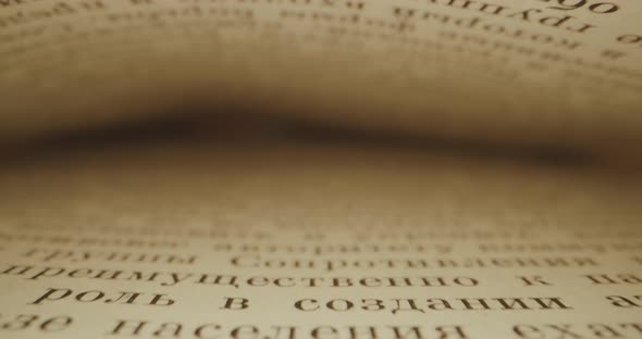 Tunnel Made of Book Pages alt