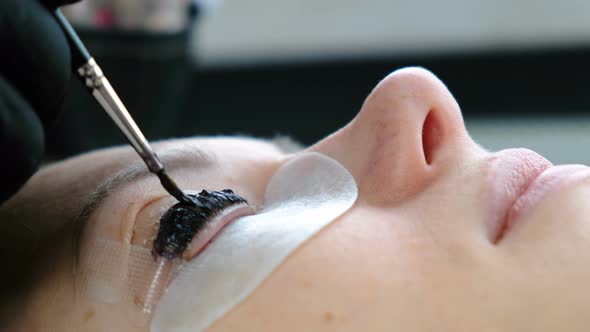 Beauty Treatment. Cosmetologist Puts Black Paint on the Lashes. Botox and Laminating Eyelashes