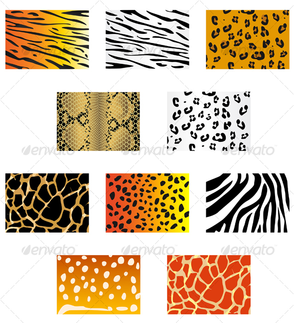 Set of animal fur and skin patterns - Backgrounds Decorative