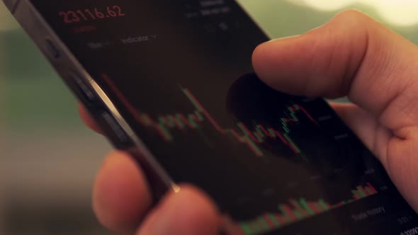 Cryptocurrency Price Index on the Mobile Phone Screen