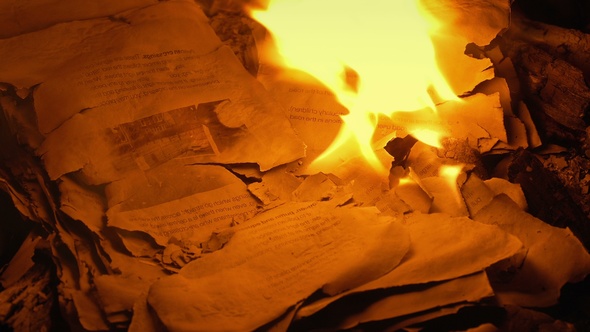 Remains Of Pages Burned Up In Fire alt