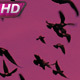 Flock Of Birds In The Dramatic Sky - VideoHive Item for Sale