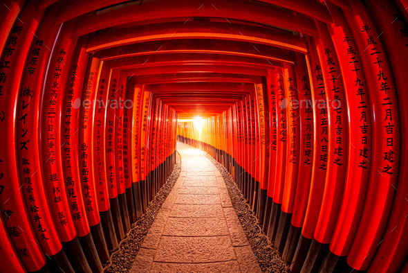 Torii Gates Fushimi Inari Shrine Kyoto Japan Stock Photo By Lkunl