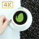 Coffee Logo Reveal - VideoHive Item for Sale