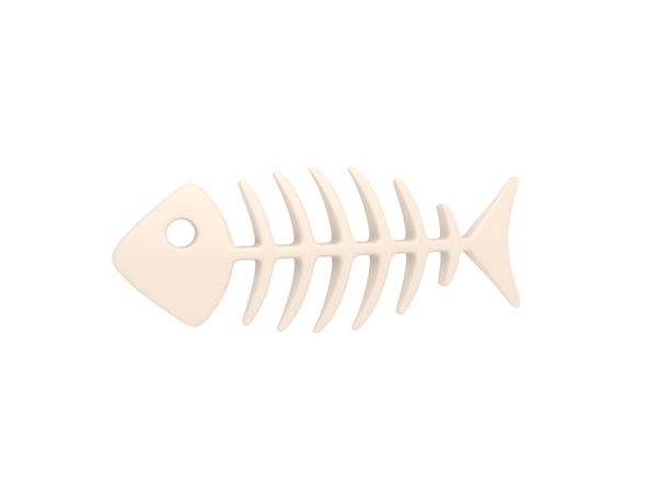Fish Bone - 3Docean 23101215