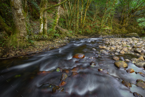 Bed Of Pebbles In The Bottom Of A River Stock Photo By Luisvilanova