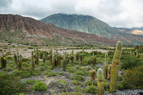 La Cienaga area on Tumbaya, Argentina. - Stock Photo - Images