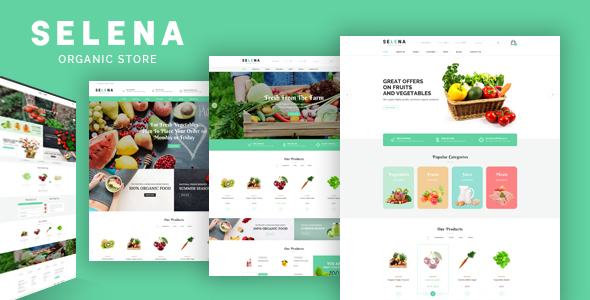 Excellent Selena - Organic Food Shop HTML Template