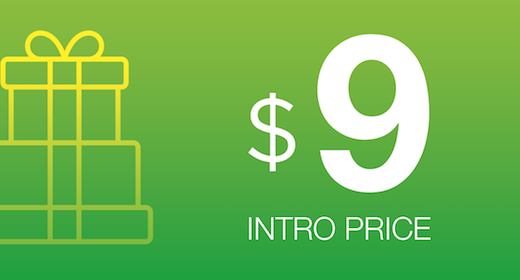 Intro Price