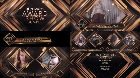 Awards Show Packaging - VideoHive 23110903
