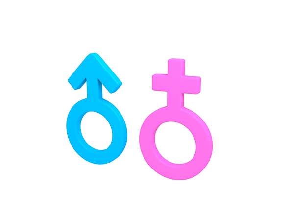 Gender symbol - 3Docean 23118070