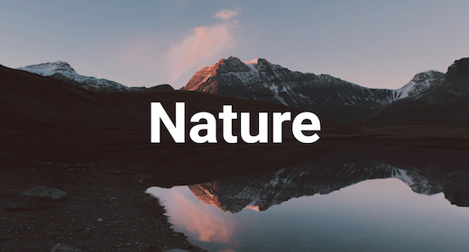Nature