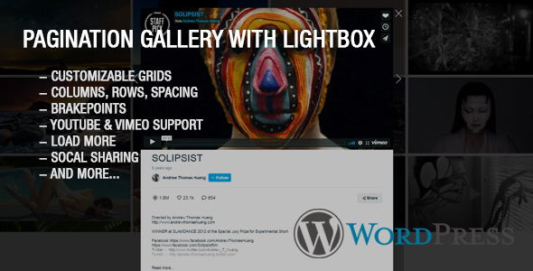 Ultimate Youtube and Vimeo Gallery WordPress Plugin