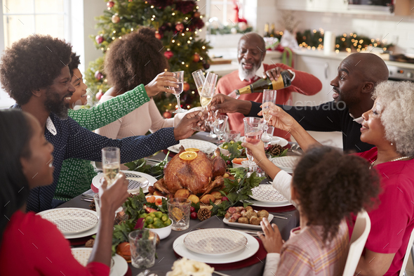 Multi generation mixed race family making a toast on Christmas day at dinner table