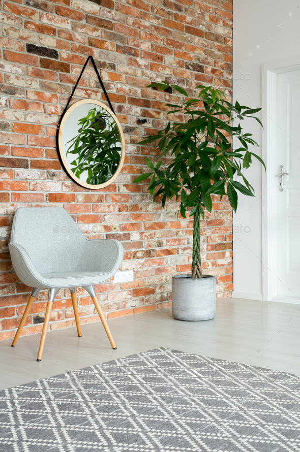 Mirror on the wall of corridor with tall plant in pot, grey styl