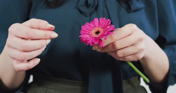 Tearing off the flower petals alt