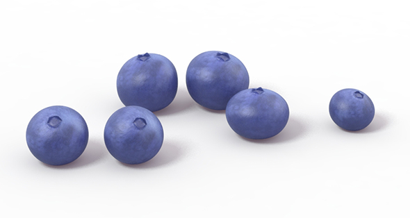 Blueberry Blueberries - 3Docean 23142587