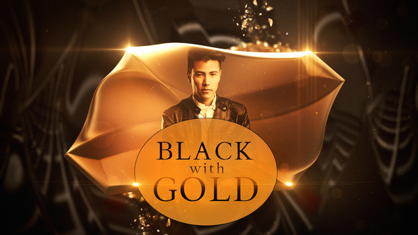Black with Gold - VideoHive 23144791