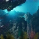 Aqua Coral Reef 3 - VideoHive Item for Sale