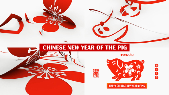 Chinese New Year of The Pig
