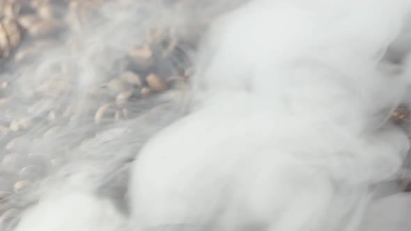 Closeup of Roasted Coffee Beans alt