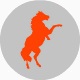 HorseForce