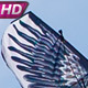 Kite In The Image Of A Bird Of Prey - VideoHive Item for Sale