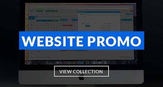 Website Presentation