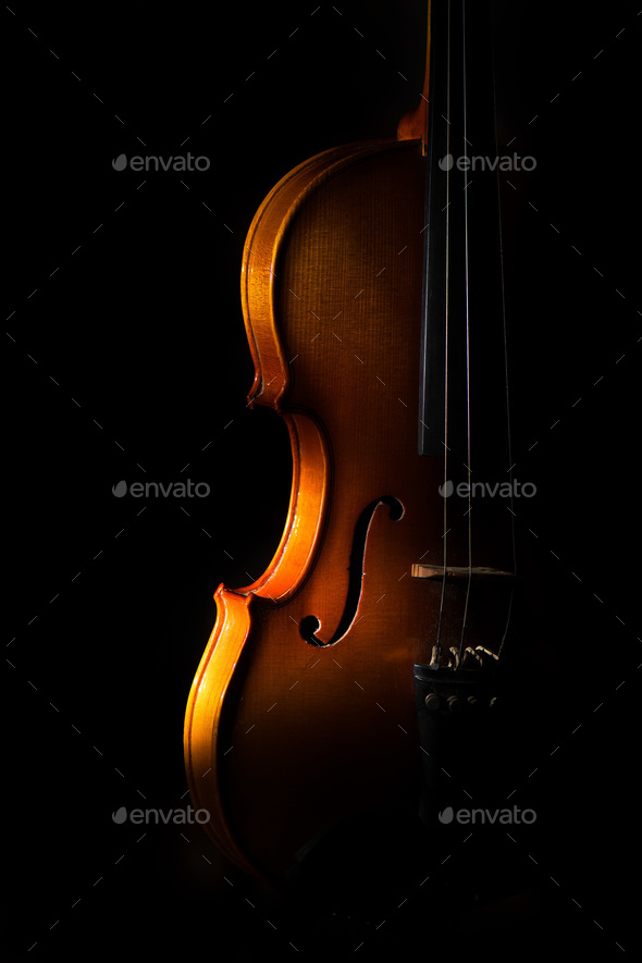 Violin detail  - Stock Photo - Images