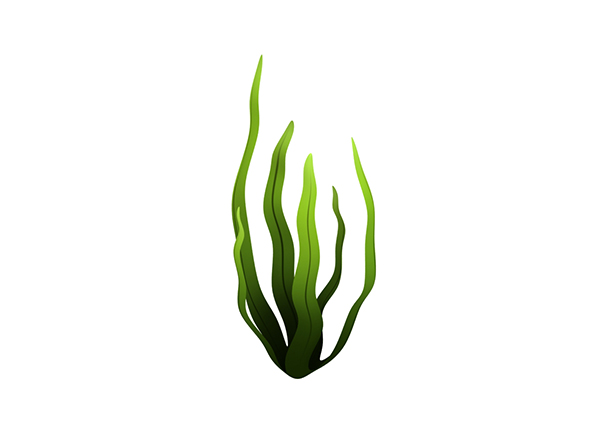 Seaweed - 3Docean 23189927