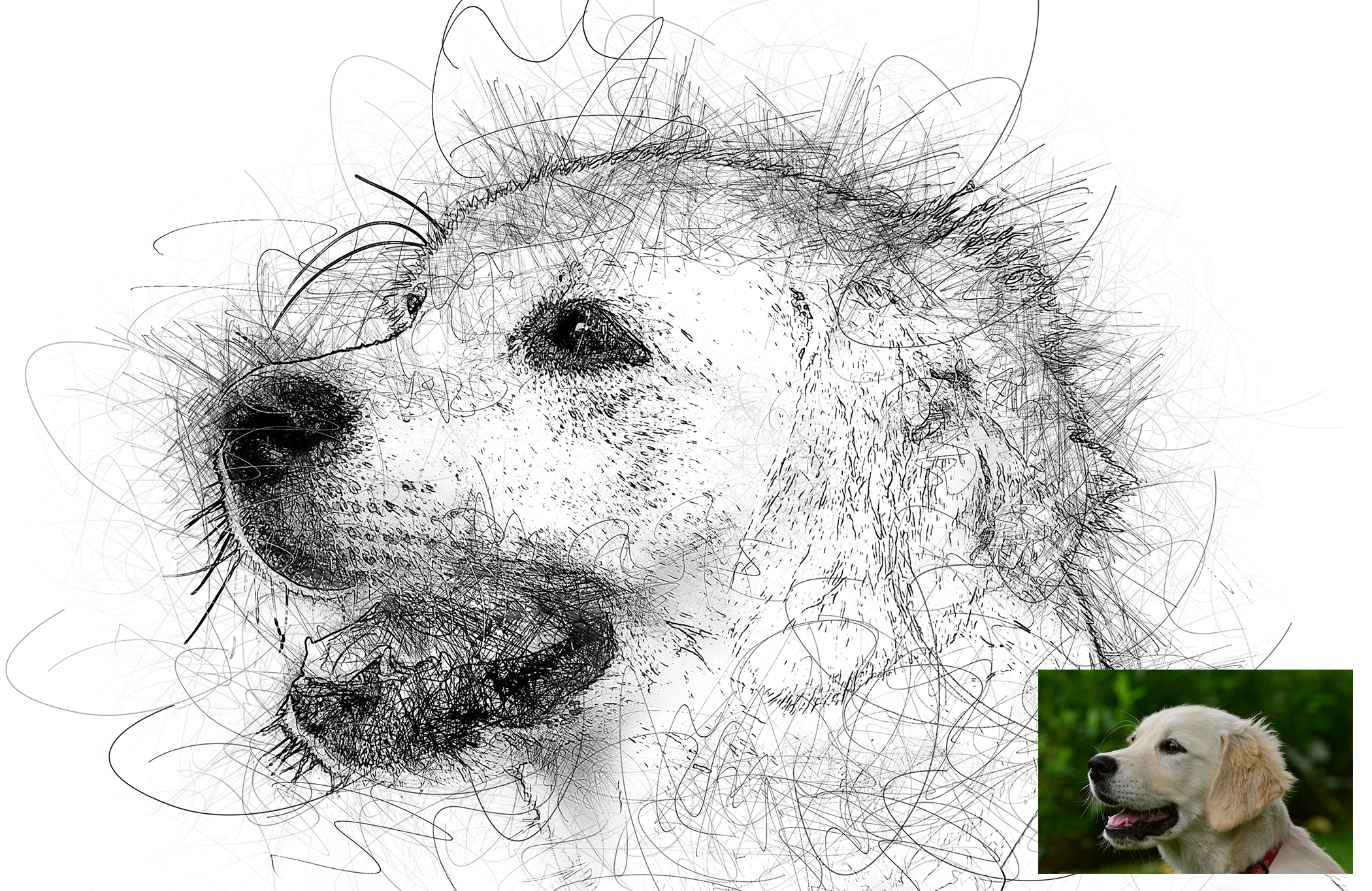 Portrait Scribble Sketch Art Photoshop Action by rojdark | GraphicRiver