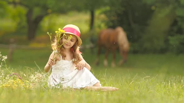 Little Girl Sits in a Clearing, Turns Over the Torn Wild Flowers and Makes a Bouquet From Them. Slow alt