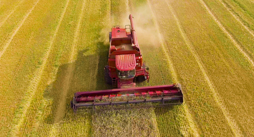 Aerial Shots of Harvesting