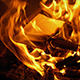 Envelope Put In Fire And Burns - VideoHive Item for Sale