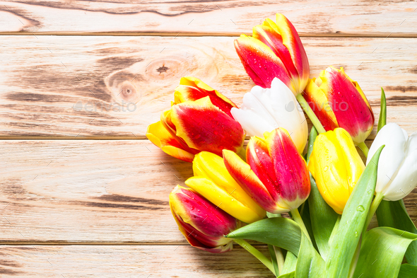 Spring flower background or greeting card. Stock Photo by Nadianb