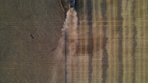 Aerial vertical drone view following a modern combine harvester reaping wheat seeds in Alberta, Cana alt