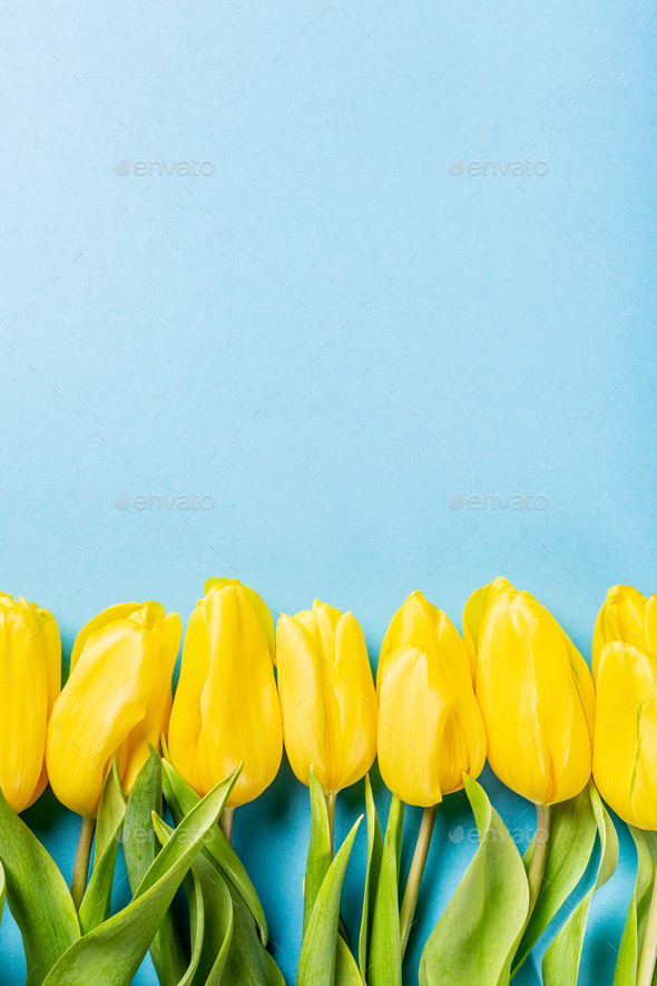 Yellow tulips background Stock Photo by Merinka | PhotoDune