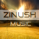 Zinush