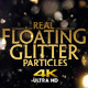 Real Floating Glitter Particles 4K - VideoHive Item for Sale