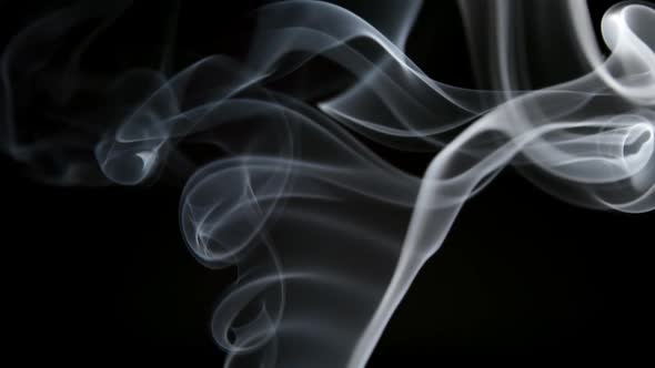 Elegant transparent curly smoke lifts up on a black background