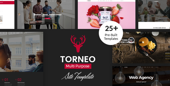 Extraordinary Torneo - Creative Agency Multi-purpose HTML Template