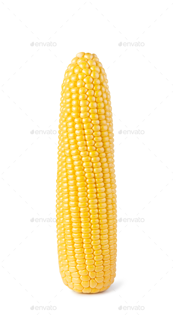 cob corn - Stock Photo - Images